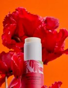 Roger & Gallet Gingembre Rouge Wellbeing Solid Fragrance tuhý parfém pro ženy 5 g