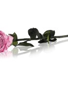 RoseAmor Pink stabilizovaná růže na stonku 30 cm 1 ks
