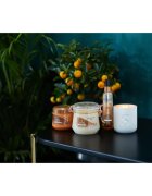 Sanctuary Spa Signature Natural Oils intenzivně hydratační tělové máslo 300 ml
