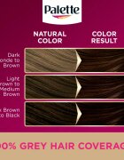 Schwarzkopf Palette Deluxe permanentní barva na vlasy odstín 3-65 Čokoládový 1 ks