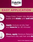 Schwarzkopf Palette Deluxe permanentní barva na vlasy odstín 3-65 Čokoládový 1 ks