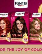 Schwarzkopf Palette Deluxe permanentní barva na vlasy odstín 3-65 Čokoládový 1 ks