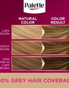 Schwarzkopf Palette Deluxe permanentní barva na vlasy odstín 7-0 Středně Plavý 1 ks