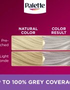 Schwarzkopf Palette Deluxe permanentní barva na vlasy odstín U71 Ledový stříbrný 1 ks