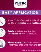 Schwarzkopf Palette Deluxe permanentní barva na vlasy odstín U71 Ledový stříbrný 1 ks
