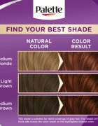 Schwarzkopf Palette Intensive Color Creme permanentní barva na vlasy odstín 5-68 R4 Chestnut 1 ks