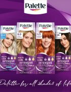 Schwarzkopf Palette Intensive Color Creme permanentní barva na vlasy odstín 7-0 N6 Medium Blonde 1 ks