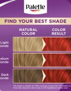 Schwarzkopf Palette Intensive Color Creme permanentní barva na vlasy odstín 7-887 (RV6) Scarlet Red 1 ks