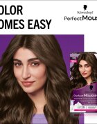 Schwarzkopf Perfect Mousse permanentní barva na vlasy odstín 500 Středně hnědý 1 ks