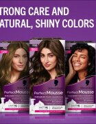Schwarzkopf Perfect Mousse permanentní barva na vlasy odstín 600 Světle hnědý 1 ks