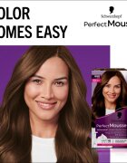 Schwarzkopf Perfect Mousse permanentní barva na vlasy odstín 668 Oříšek 1 ks