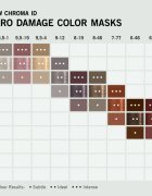 Schwarzkopf Professional Chroma ID Color Mask intenzivní barvicí maska na vlasy odstín 8-19 Frosted Lavender 300 ml