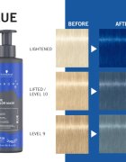 Schwarzkopf Professional Chroma ID Color Mask intenzivní barvicí maska na vlasy odstín Blue 300 ml