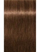 Schwarzkopf Professional IGORA Color 10 permanentní barva na vlasy odstín 6-65 Dark Blonde Chocolate Gold 60 ml