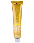 Schwarzkopf Professional IGORA Royal Absolutes Age Blend barva na vlasy odstín 8-140 Light Blonde Cendré Beige Natural 60 ml