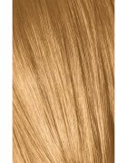 Schwarzkopf Professional IGORA Royal Absolutes barva na vlasy odstín 9-50 Extra Light Blonde Gold Natural 60 ml