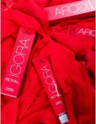 Schwarzkopf Professional IGORA Royal barva na vlasy odstín 3-68 60 ml