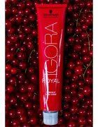 Schwarzkopf Professional IGORA Royal barva na vlasy odstín 3-68 60 ml
