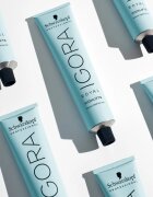 Schwarzkopf Professional IGORA Royal Highlifts barvicí krém pro studené odstíny blond odstín 12-21 60 ml