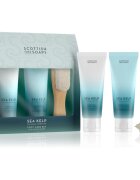 Scottish Fine Soaps Sea Kelp dárkové balení