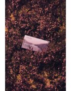 Scottish Fine Soaps Wild Heather čisticí tuhé mýdlo 220 g