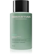 Sebastian Professional Volupt šampon pro objem vlasů 280 ml
