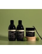 Sendo Frizz Contol Taming Hair Mask uhlazující maska pro nepoddajné a krepatějící se vlasy 200 ml