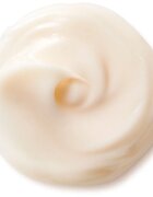 Shiseido Benefiance NutriPerfect Day Cream omlazující denní krém SPF 15 50 ml