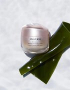 Shiseido Benefiance Wrinkle Smoothing Cream denní a noční krém proti vráskám pro všechny typy pleti 50 ml