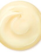 Shiseido Benefiance Wrinkle Smoothing Cream Enriched denní a noční krém proti vráskám pro suchou pleť 50 ml