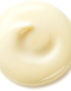 Shiseido Benefiance Wrinkle Smoothing Day Cream denní krém proti vráskám SPF 25 50 ml