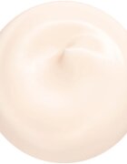 Shiseido Essential Energy Hydrating Day Cream denní hydratační krém SPF 20 50 ml