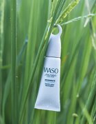 Shiseido Waso Koshirice korektor na obličej odstín Subtle Peach 8 ml