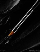 Sigma Beauty Eyes E06 WINGED LINER™ BRUSH štětec na oční linky 1 ks