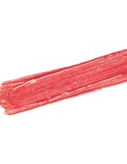 Sisley Phyto-Lip Twist tónující balzám na rty v tužce odstín 29 Ladybird 2.5 g