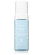 Sisley Radiance Foaming Cream čisticí a odličovací pěna 2 v 1 125 ml