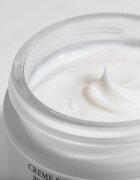 Sisley Restorative Facial Cream zklidňující krém pro regeneraci a obnovu pleti 50 ml