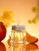 Sister's Aroma Mango aroma difuzér 120 ml