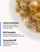 SKINSOO HydraCell Exosome Sheet Mask hydratační plátýnková maska 22 g