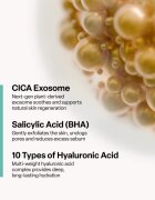 SKINSOO PurifyCell Exosome Sheet Mask zklidňující plátýnková maska 22 g