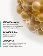 SKINSOO PurifyCell Exosome Toner zklidňující tonikum na regulaci kožního mazu 200 ml
