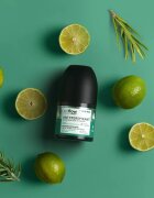 so!flow Men Antiperspirant antiperspirant roll-on pro muže Tobacco extract scent of Lime with Rosemary 50 ml
