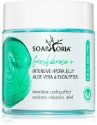 Soaphoria CoolingJelly+ Aloe Vera & Eucalyptus chladivý gel s aloe vera 100 ml