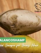 Soaphoria Hair Care Solid Shampoo organický tuhý šampon pro mastné vlasy 60 g