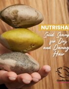 Soaphoria Hair Care Solid Shampoo organický tuhý šampon pro suché a poškozené vlasy 60 g
