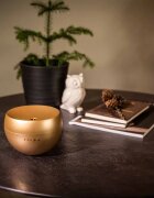 Stadler Form Diffuser Jasmine ultrazvukový aroma difuzér barva Gold 1 ks