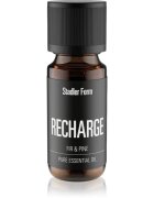 Stadler Form Recharge Jedle & Borovice esenciální olej 10 ml