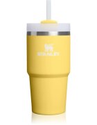 Stanley Quencher H2.O FlowState™ Tumbler nerezový tumbler s brčkem malý Daffodil 1 ks