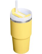 Stanley Quencher H2.O FlowState™ Tumbler nerezový tumbler s brčkem malý Daffodil 1 ks