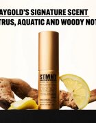 STMNT Staygold Spray Powder pudrový sprej pro definici a tvar 4 g